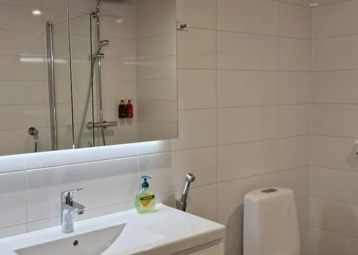 Silent With Balcony 公寓 图尔库